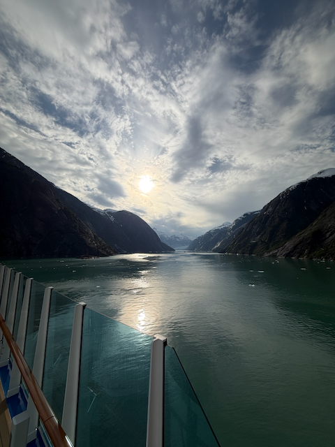 Star Princess Endicott Arm Glacier