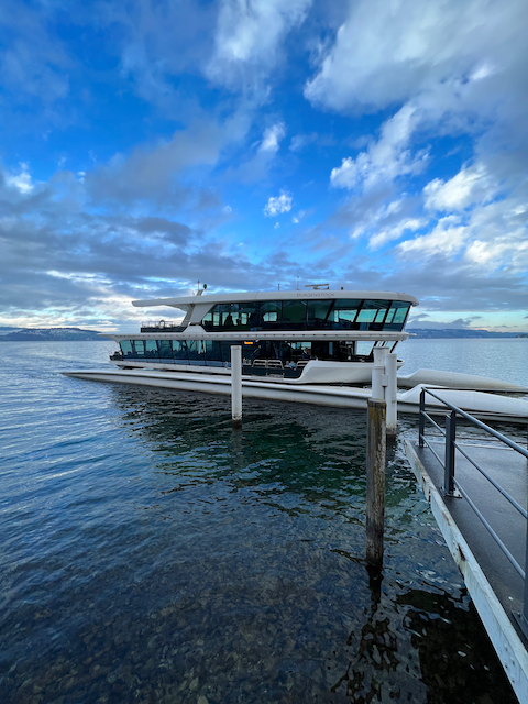 Resort Hybrid Catamaran Shuttle from Lucerne Train Station to the Burgenstock Resort