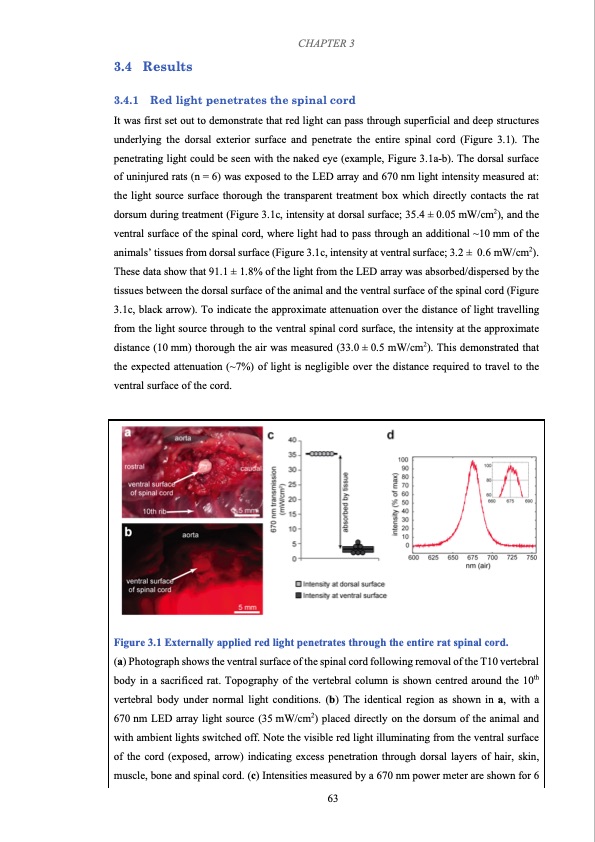 effects-red-light-treatment-spinal-cord-injury-077