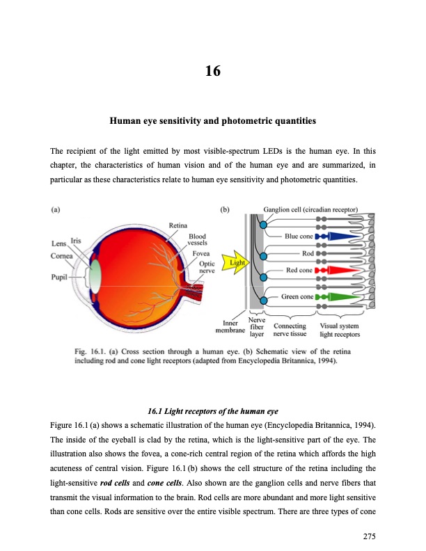 human-eye-sensitivity-and-photometric-quantities-001