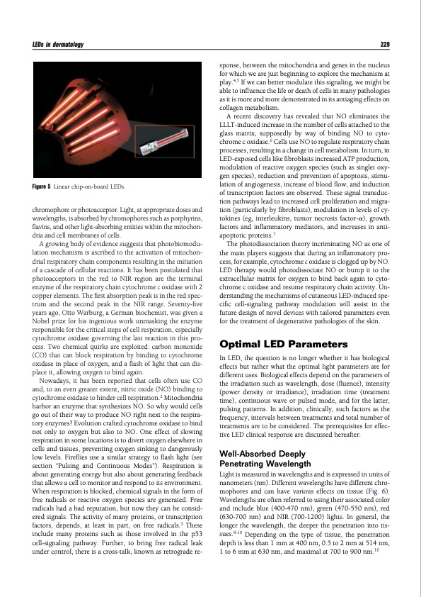 light-emitting-diodes-leds-dermatology-004