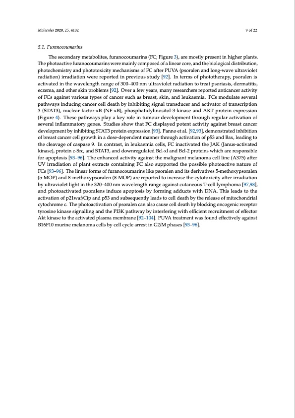 role-photoactive-phytocompounds-photodynamic-therapy-cancer-009