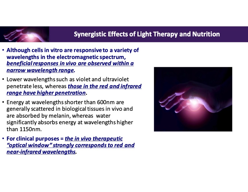 synergistic-effects-light-therapy-and-nutrition-004