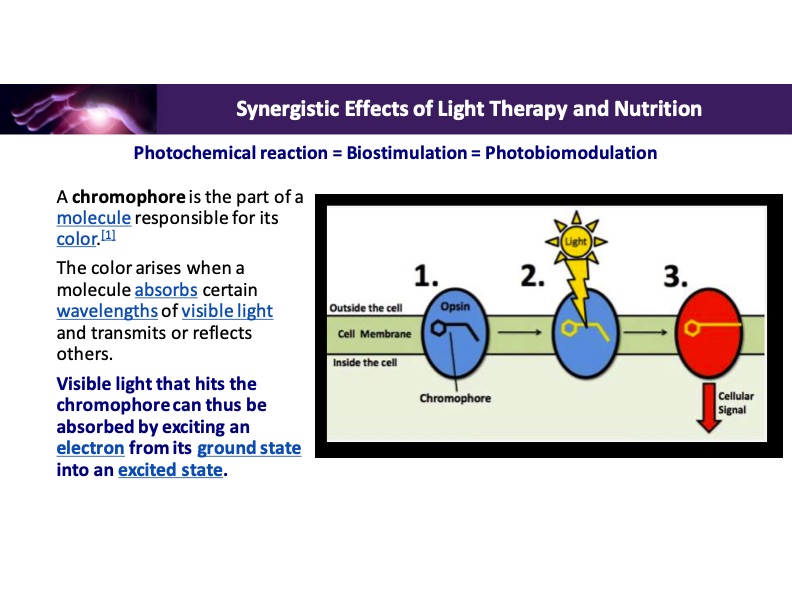 synergistic-effects-light-therapy-and-nutrition-007