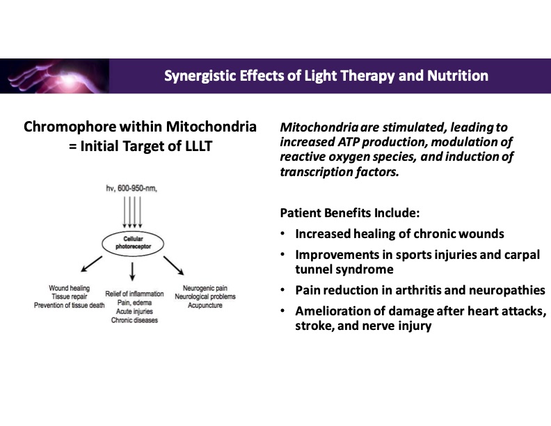 synergistic-effects-light-therapy-and-nutrition-008