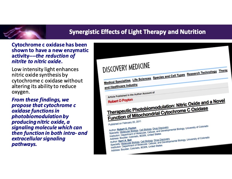 synergistic-effects-light-therapy-and-nutrition-010