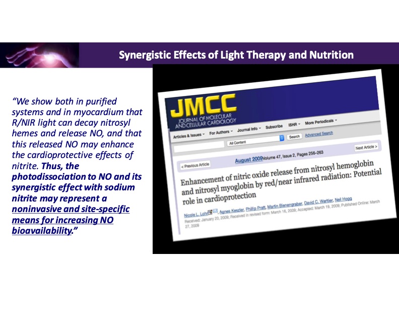 synergistic-effects-light-therapy-and-nutrition-011