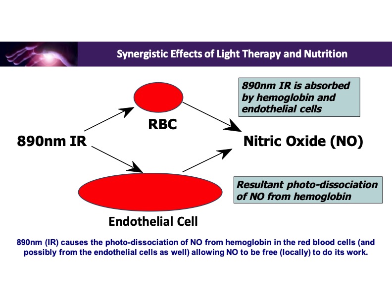 synergistic-effects-light-therapy-and-nutrition-013