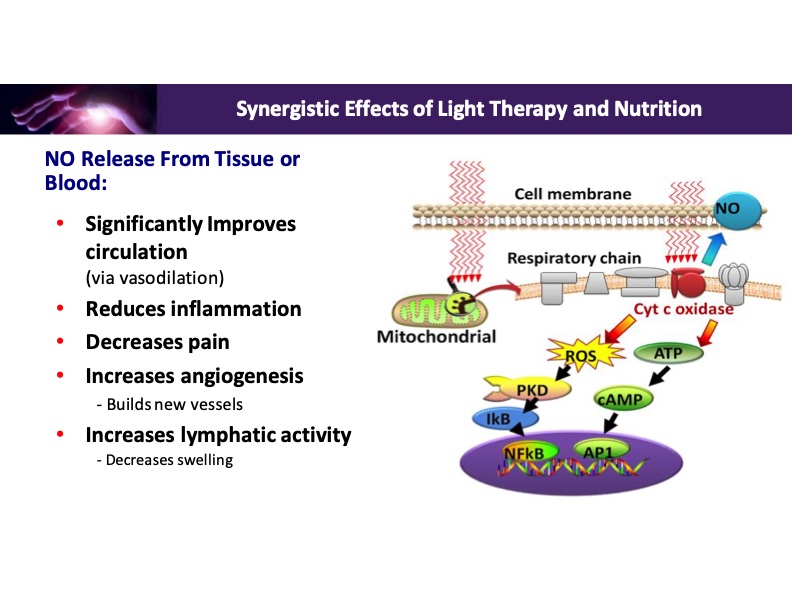 synergistic-effects-light-therapy-and-nutrition-014