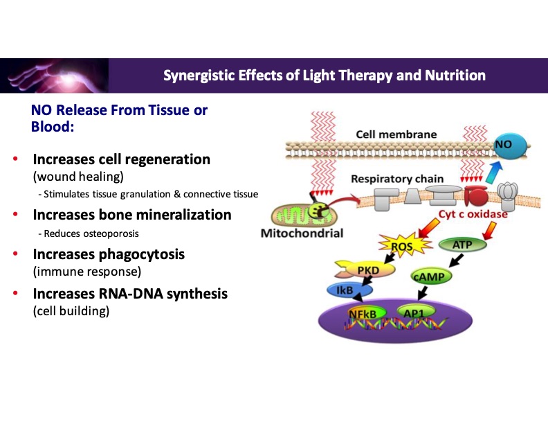 synergistic-effects-light-therapy-and-nutrition-015