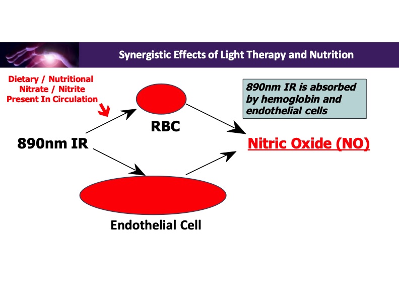 synergistic-effects-light-therapy-and-nutrition-020