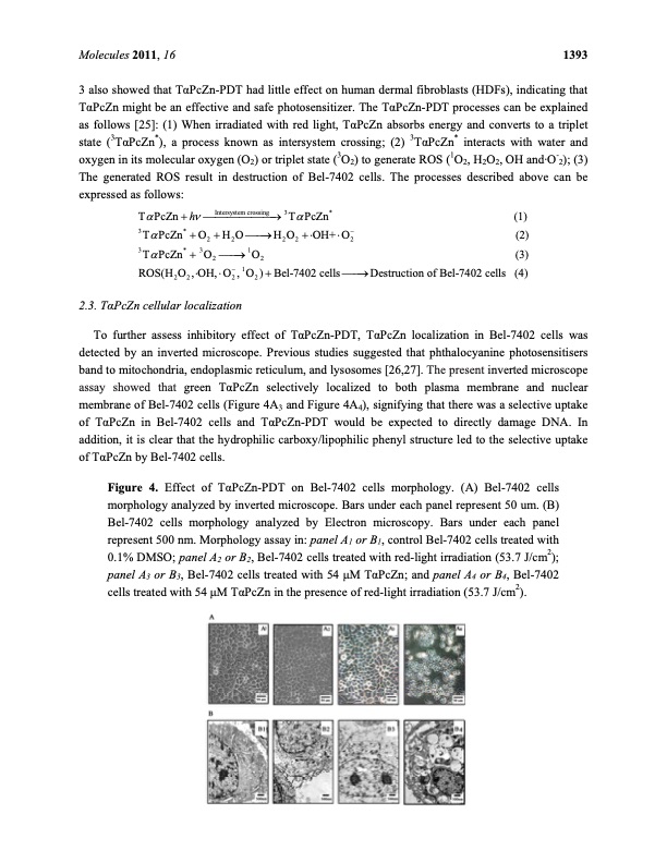 zinc-mediated-photodynamic-therapy-inhibits-proliferation-005
