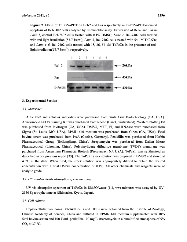 zinc-mediated-photodynamic-therapy-inhibits-proliferation-008