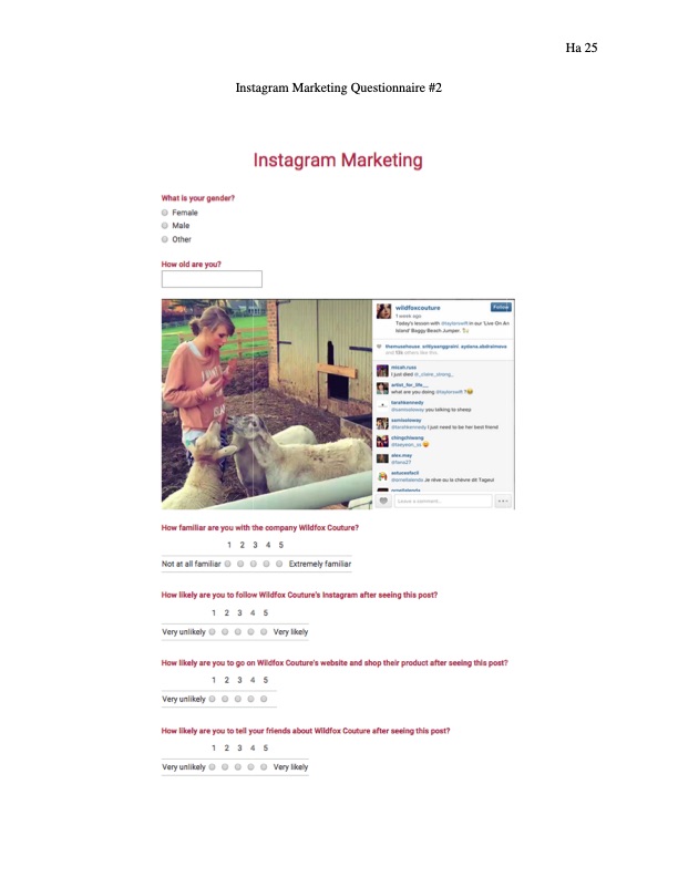 experiment-instagram-marketing-techniques-and-their-effectiv-025