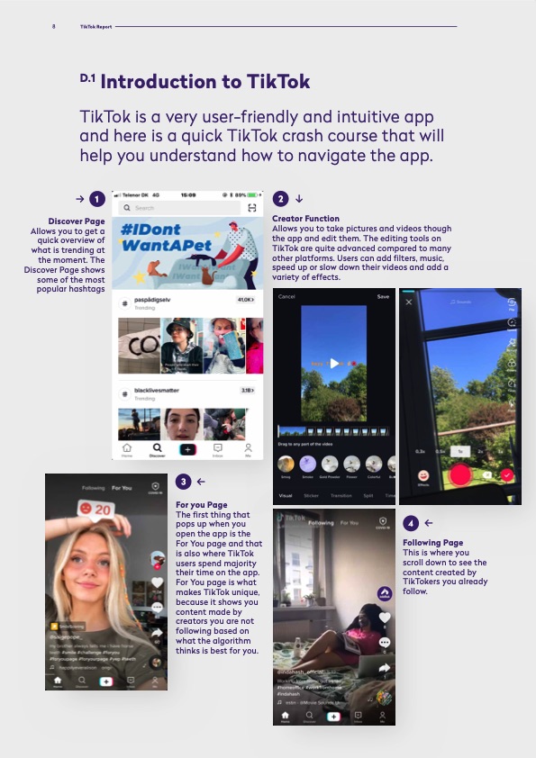 tiktok-report-008